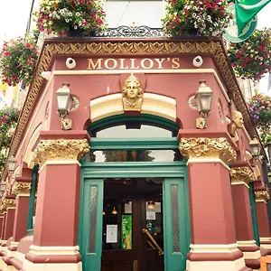 Molloys Dublin